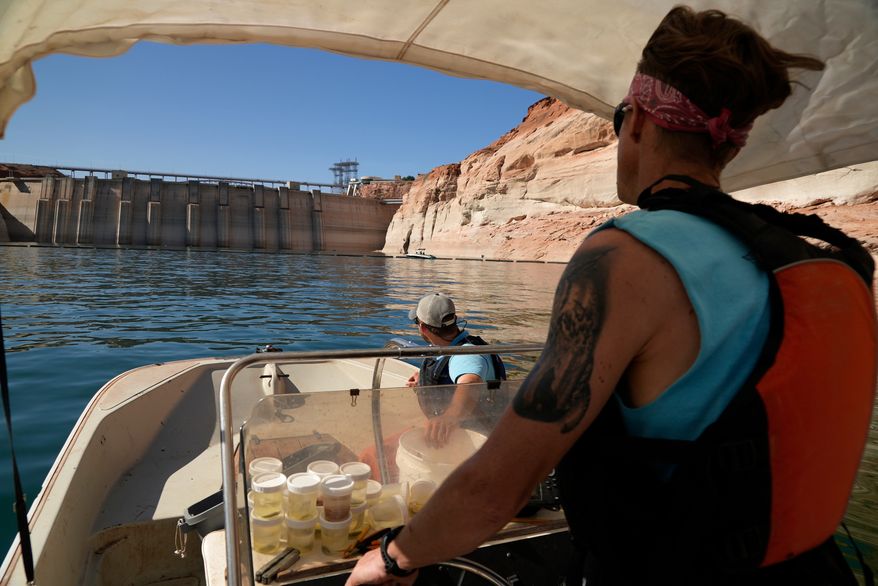 Utah State University master's student Barrett Friesen steers a boat near Glen Canyon dam on Lake Powell on June 7, 2022, in Page, Ariz. (AP Photo/Brittany Peterson, File)