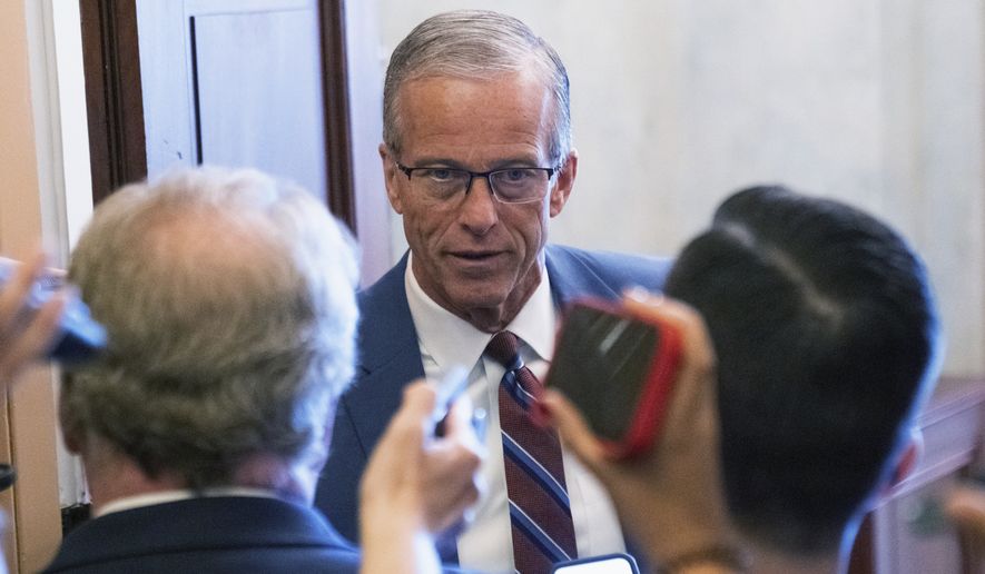 Senate Majority Leader John Thune, R-S.D., talks to reporters at the Capitol, Wednesday, June 3, 2026, in Washington. (AP Photo/Allison Robbert)