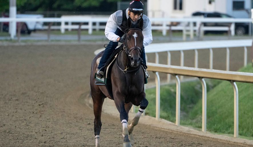 Kentucky Derby winner and Belmont Stakes entrant Golden Tempo works out ahead of the 158th running of the Belmont Stakes horse race at Saratoga Race Course, Friday, June 5, 2026, in Saratoga Springs, N.Y. (AP Photo/Yuki Iwamura)