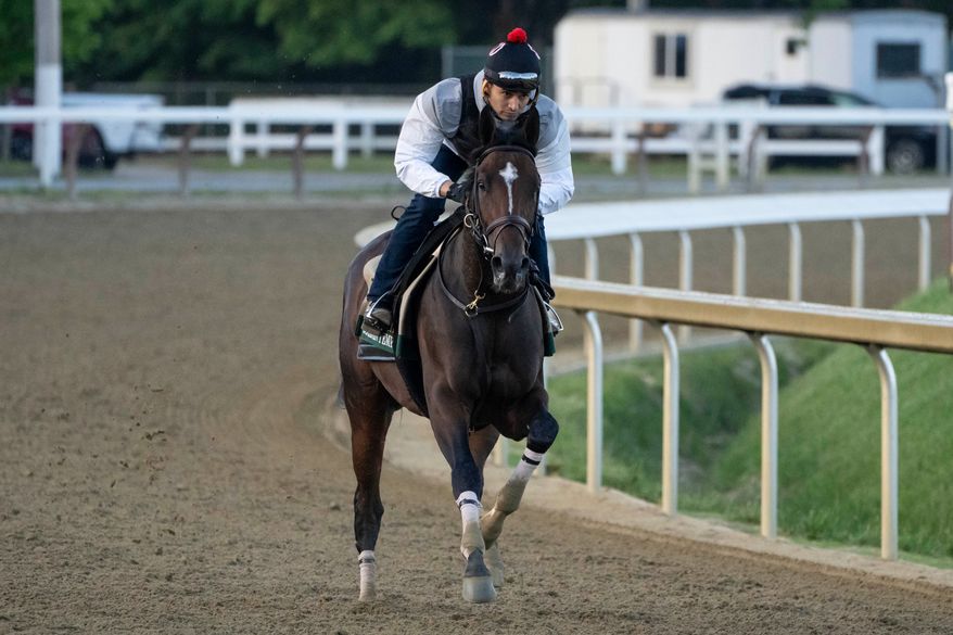 Kentucky Derby winner and Belmont Stakes entrant Golden Tempo works out ahead of the 158th running of the Belmont Stakes horse race at Saratoga Race Course, Friday, June 5, 2026, in Saratoga Springs, N.Y. (AP Photo/Yuki Iwamura)