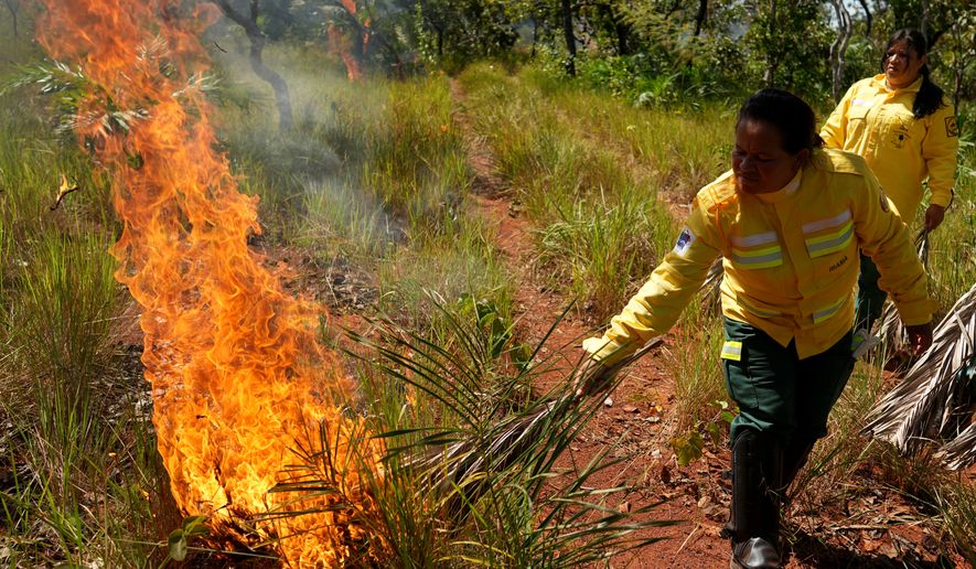 Xerente Indigenous people, part of a fire brigade formed by women, ignite fires as part of a controlled burn with dry palm leaves during a fire prevention operation along Brazil's environmental protection agency, IBAMA, at the Xerente territory, near Tocantinia, Tocantins state, Brazil, Tuesday, May 19, 2026. (AP Photo/Andre Penner)