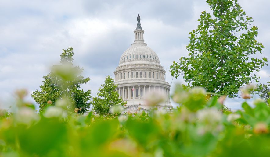 The U.S. Capitol is photographed, Monday, June 8, 2026, in Washington. (AP Photo/Mariam Zuhaib)