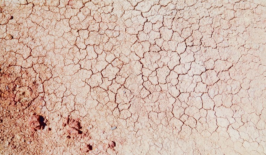 Dry riverbed earth texture. File photo credit: Tupungato via Shutterstock.