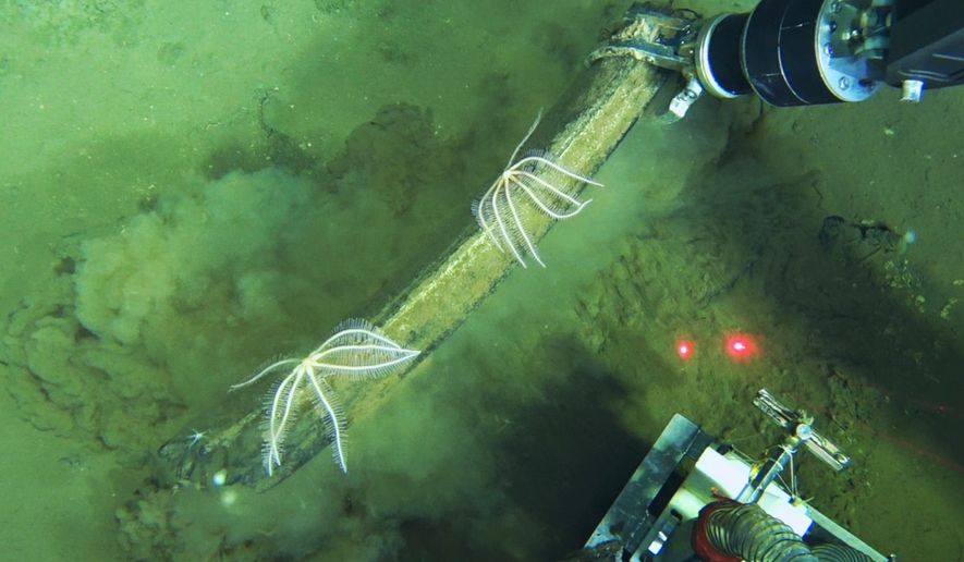 This undated image provided by Peng Zhou shows a Chinese submersible recovering fossilized whale bones from the deep seafloor, southeastern Indian Ocean, in the Diamantina Fracture Zone. (Global TREnD, IDSSE via AP)