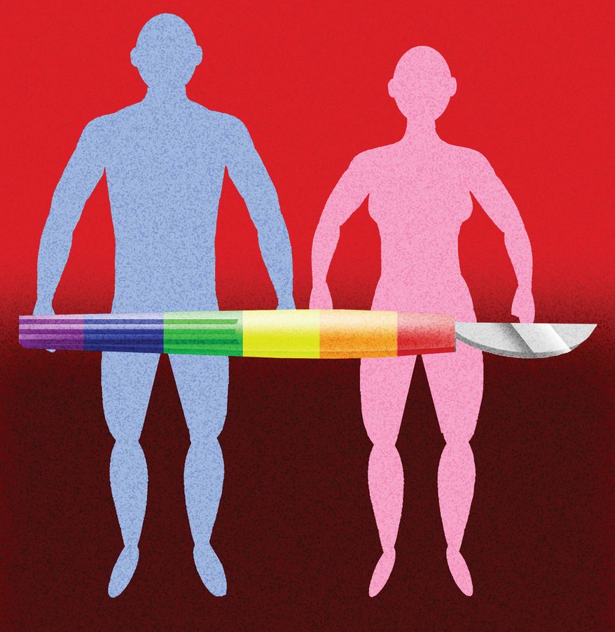 LGBTQ's for no genders and gestating and non-gestating parents illustration by Alexander Hunter/The Washington Times