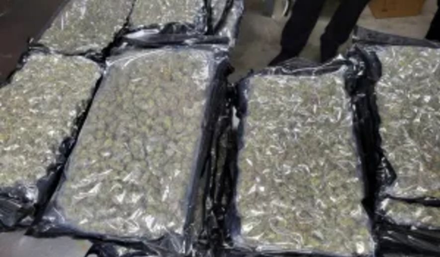 More than 1,600 pounds of marijuana seized at the Peace Bridge border crossing, Buffalo, New York. (Credit: U.S. Customs and Border Protection)