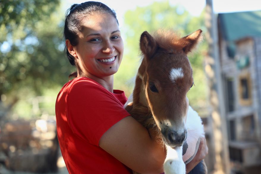 Owner Andjelka Josipovic poses with a pony named Mile at a ranch in Bale, Croatia, on June 13, 2026. (AP Photo)