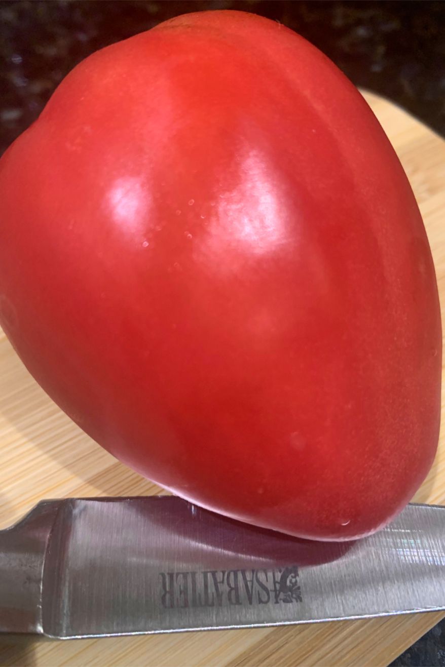 A homegrown Bull’s heart tomato appears in a kitchen on Long Island, N.Y., on Aug. 9, 2021. (Jessica Damiano via AP)