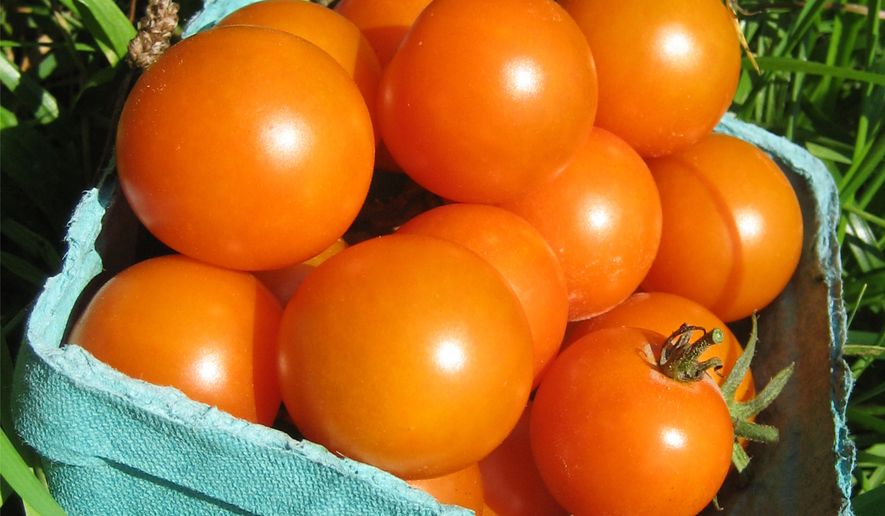 This undated image provided by Hudson Valley Seed Co. shows a container of candy-sweet Sungold cherry tomatoes. (Hudson Valley Seed Co. via AP)