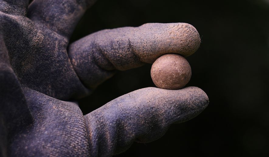 Calla Ruff, an intern from Carleton College, holds a musket ball that was removed from an archaeological dig at the site of the Battle of Bunker Hill, Monday, June 15, 2026, in Boston. (AP Photo/Charles Krupa)