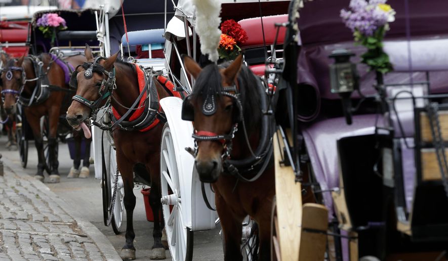 Horses and carriages wait for customers on Oct. 23, 2013, near Central Park in New York. (AP Photo/Seth Wenig) **FILE**