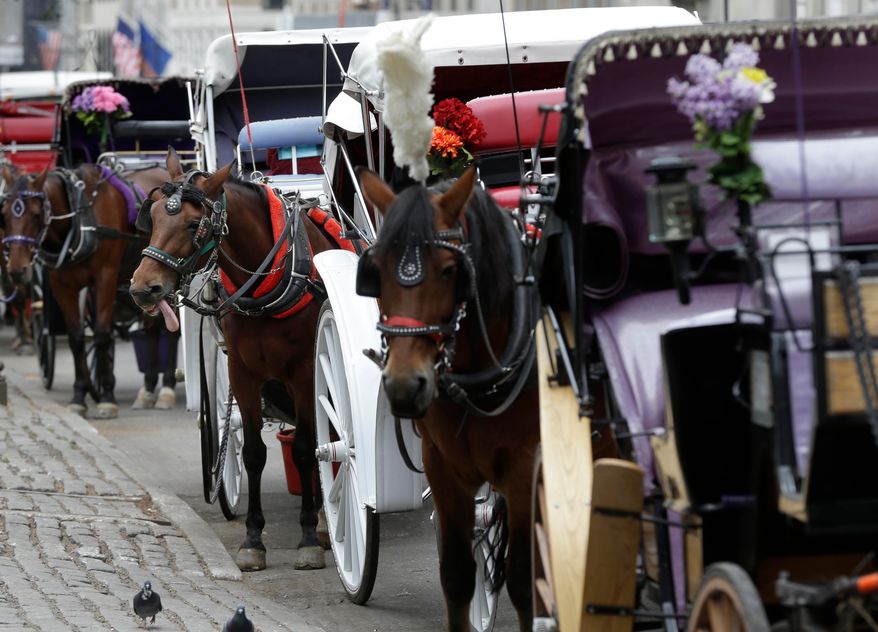 Horses and carriages wait for customers on Oct. 23, 2013, near Central Park in New York. (AP Photo/Seth Wenig) **FILE**
