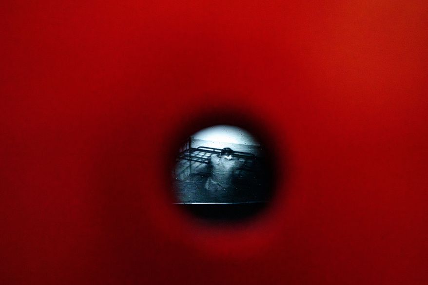 A video from the Communist era secret police surveillance archives, seen through a pinhole, shows Anton Uncu sitting on a metal bed, a day before the opening of the "A.REST 1989 — The Securitate Video Archive" exhibition, at the National History Museum of Romania, in Bucharest, Romania, Monday, June 15, 2026. (AP Photo/Andreea Alexandru)