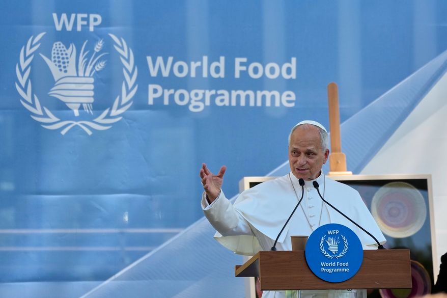 Pope Leo XIV speaks during a meeting with the employees of the United Nations World Food Programme in Rome, Monday, June 22, 2026. (AP Photo/Alessandra Tarantino)