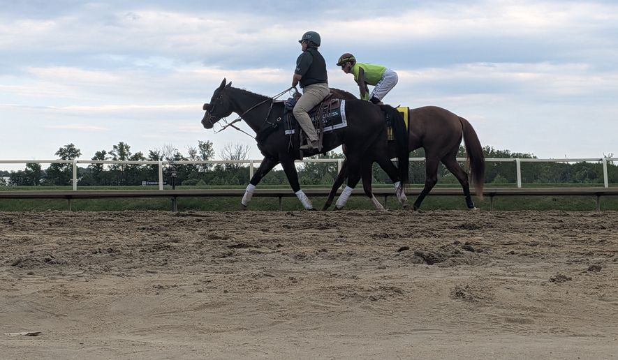Thoroughbred colts raced in the 151st Preakness Stakes at Laurel Park, Maryland, on May 16. This year's race was moved out of Baltimore for the first time in 118 years due to renovations at Pimlico Race Course. (Sean Salai/The Washington Times)