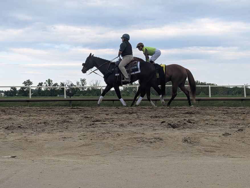 Thoroughbred colts raced in the 151st Preakness Stakes at Laurel Park, Maryland, on May 16. This year's race was moved out of Baltimore for the first time in 118 years due to renovations at Pimlico Race Course. (Sean Salai/The Washington Times)