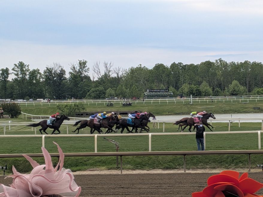 Thoroughbred colts raced in the 151st Preakness Stakes at Laurel Park, Maryland, on May 16. This year's race was moved out of Baltimore for the first time in 118 years due to renovations at Pimlico Race Course. (Sean Salai/The Washington Times)