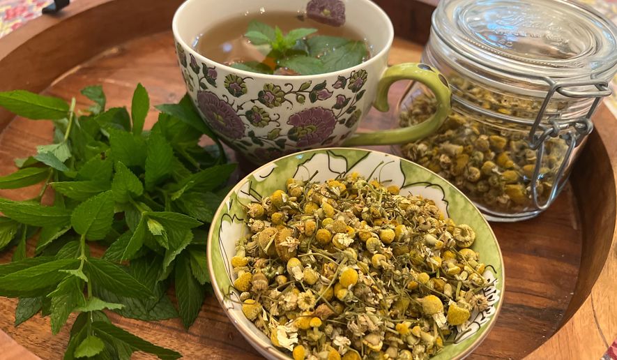Freshly harvested spearmint leaves, dried chamomile flowers, and a cup of herbal tea are displayed on Long Island, N.Y. on June 15, 2026. (Jessica Damiano via AP)