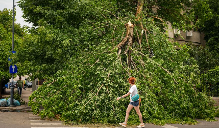 A woman walks by a fallen tree, in Bucharest, Romania, Wednesday July 1, 2026, after a thunderstorm hit the Romanian capital the night before. (AP Photo/ Andreea Alexandru)