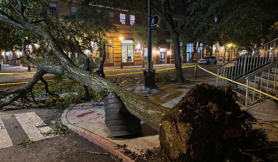 A tree ripped from the ground by a severe storm is surrounded by police tape in Hoboken, N.J., early Saturday, July 4, 2026. (AP Photo/Larry Neumeister)