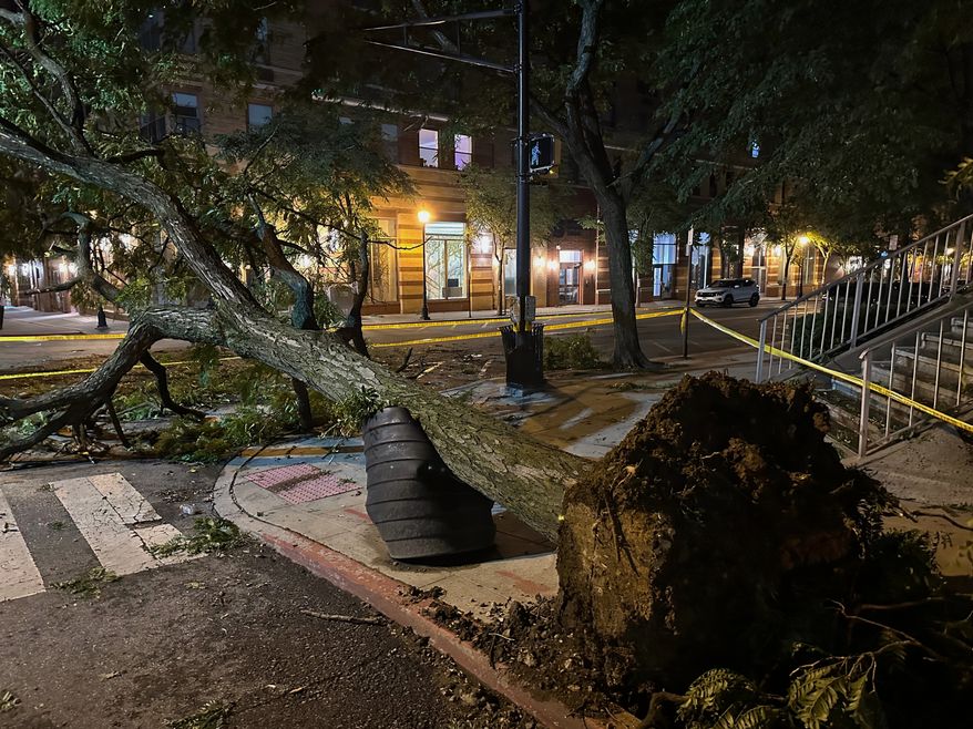 A tree ripped from the ground by a severe storm is surrounded by police tape in Hoboken, N.J., early Saturday, July 4, 2026. (AP Photo/Larry Neumeister)