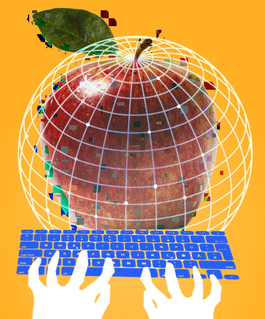Internet access for schools illustration by Linas Garsys / The Washington Times