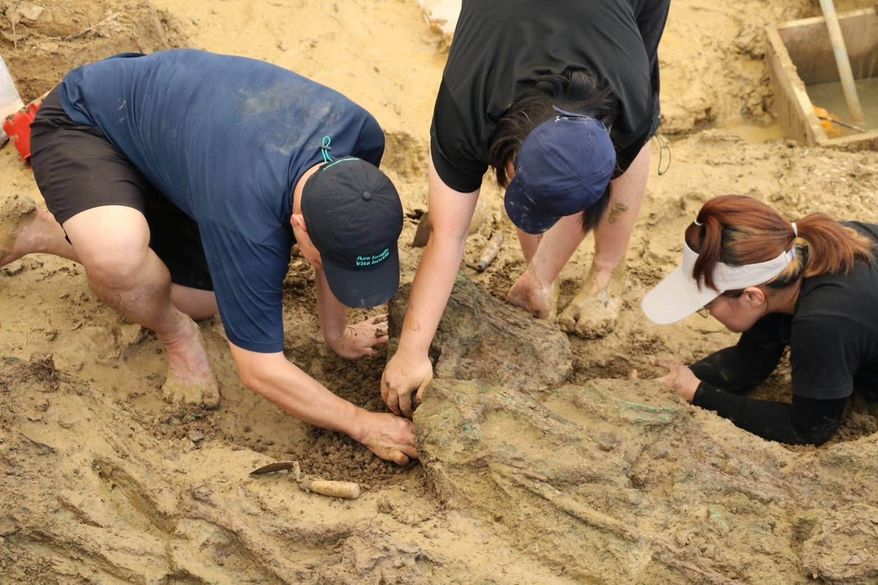 In this photo released by The Fine Arts Department, archaeologists are pictured with human bones during an ongoing dig at the Don Yai Thong archeological site in Phetchaburi province, Thailand Thursday, July 2, 2026. (The Fine Arts Department via AP)