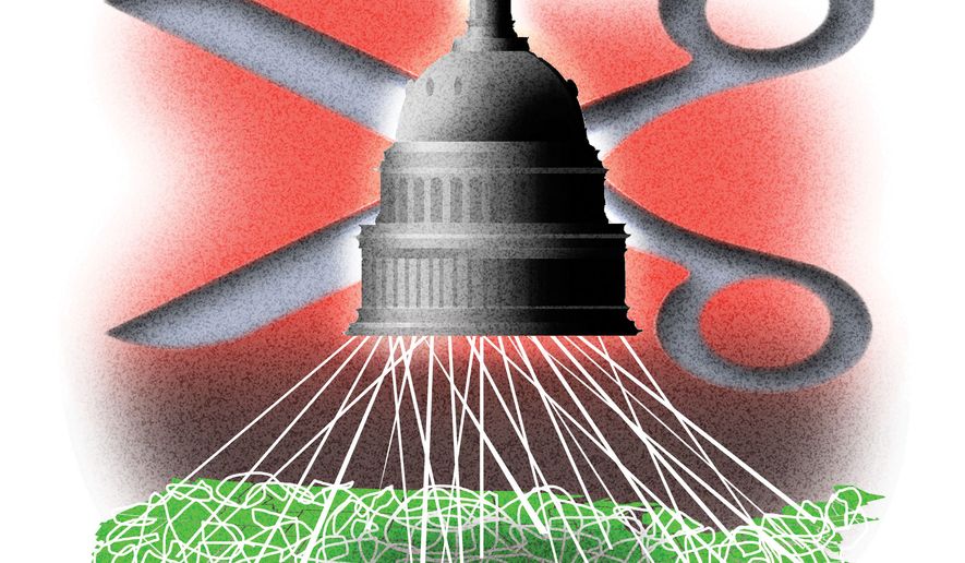 Federalism vs. federal activism in the United States of America illustration by Alexander Hunter/The Washington Times