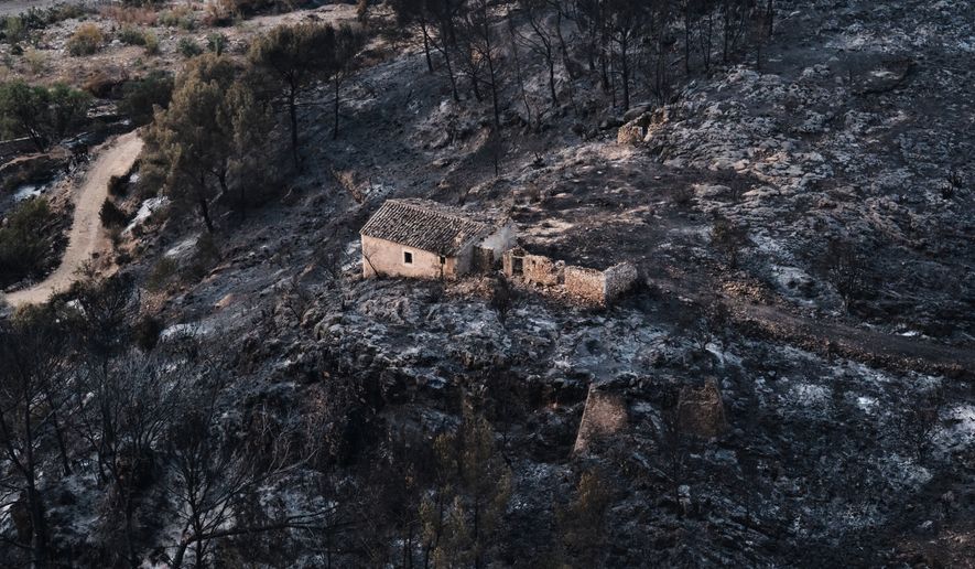 A view of a burnt area affected by wildfires in Bedar, near Almeria, Spain, Saturday, July 11, 2026. (AP Photo/Gregorio Marrero)