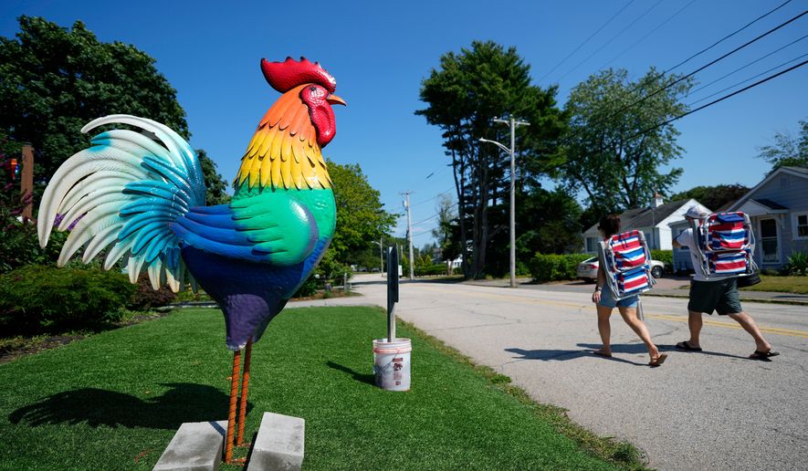 Beach-goers pass by a large tin rooster set up outside a motel in solidarity with a young girl with autism in Ogunquit, Maine, Wednesday, July 22, 2026. (AP Photo/Robert F. Bukaty)