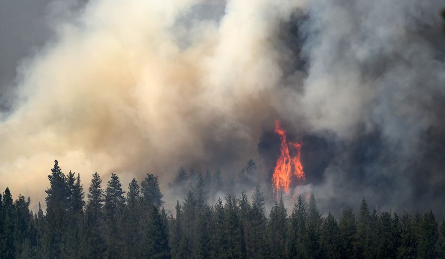 Flames leap above trees as the Akawa Butte fire burns on Friday, July 24, 2026, near Sisters, Ore. (AP Photo/Noah Berger)