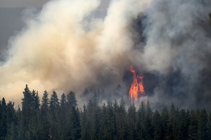 Flames leap above trees as the Akawa Butte fire burns on Friday, July 24, 2026, near Sisters, Ore. (AP Photo/Noah Berger)