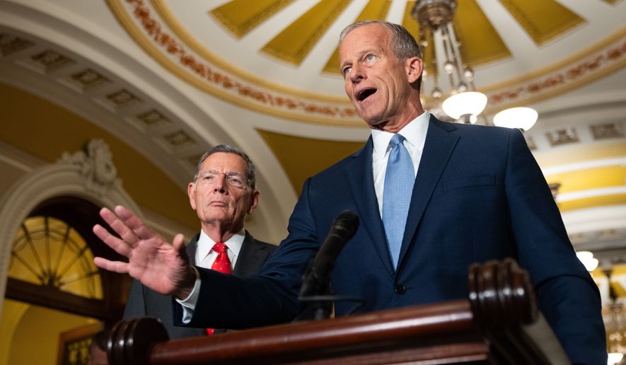 Senate Majority Leader John Thune, R-S.D., speaks to reporters following a weekly policy luncheon at the Capitol in Washington, Tuesday, July 21, 2026. (AP Photo/Allison Robbert)
