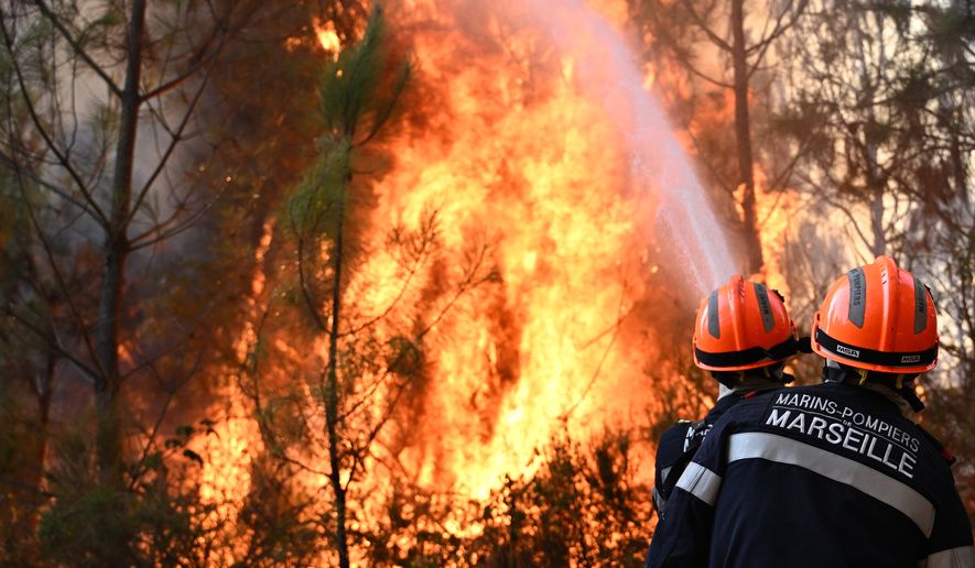 Firefighters work to extinguish a fire in the forest near Blagon, during wildfires in southwestern France, Wednesday, July 29, 2026. (AP Photo/Emma Da Silva)