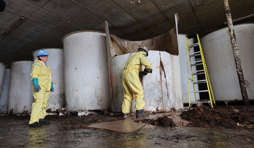 Sludge pours out of a vat of fermenting fish sauce in an abandoned fish sauce factory in St. Mary's, N.L., on Tuesday July 28, 2026. (Elling Lien/The Canadian Press via AP)