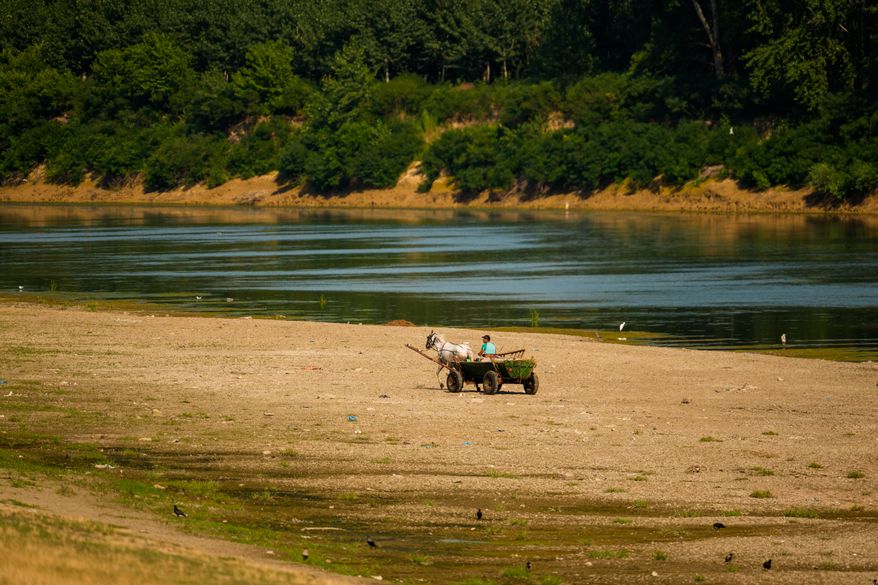 A man rides his horse-pulled cart on a bank of sand on the Danube River, as usually submerged areas are exposed due to extreme low levels of the water following an extended period of drought in Roseti, Romania, Wednesday, July 29, 2026. (AP Photo/Andreea Alexandru)