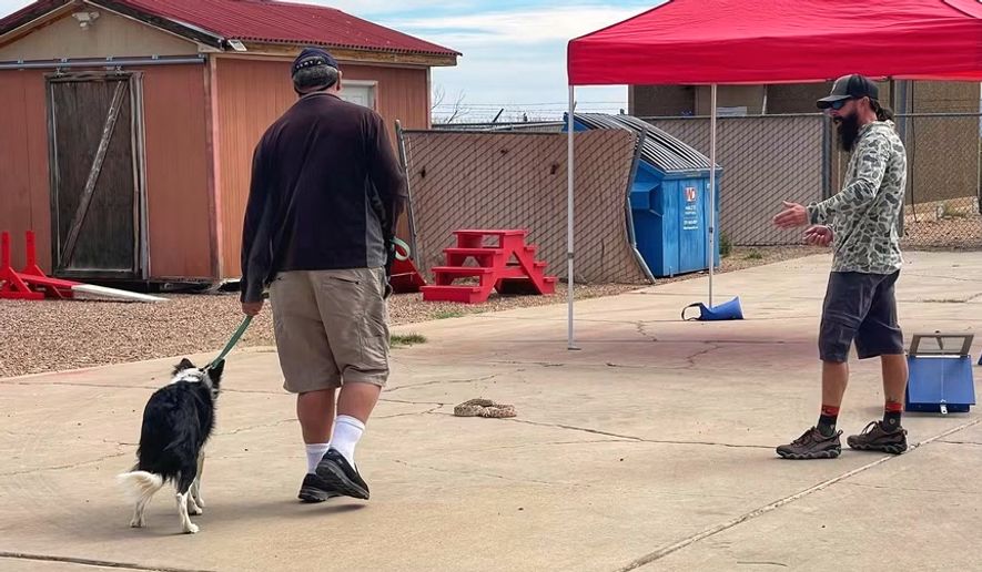 This undated photo shows trainer J.J. Belcher, right, using his western diamondback rattler Brian to teach a dog to avoid poisonous snakes in Tucson, Ariz. (J.J. Belcher via AP)