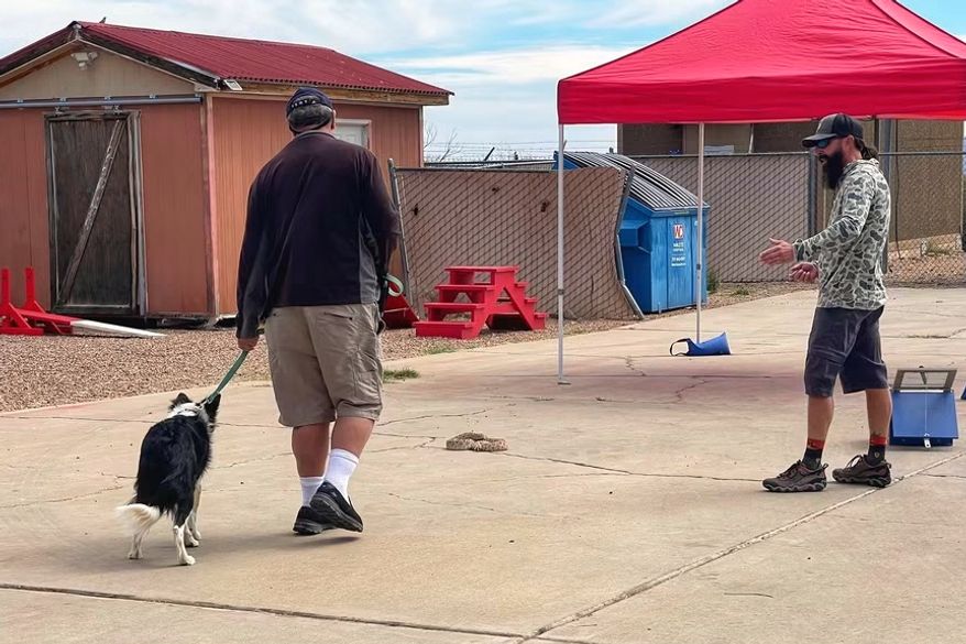This undated photo shows trainer J.J. Belcher, right, using his western diamondback rattler Brian to teach a dog to avoid poisonous snakes in Tucson, Ariz. (J.J. Belcher via AP)