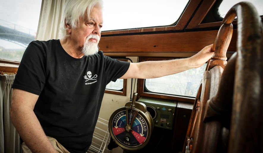 Paul Watson poses after an interview after Interpol took the anti-whaling campaigner off its most-wanted list, Wednesday, July 23, 2025 in Paris. (AP Photo/Thomas Padilla, File)