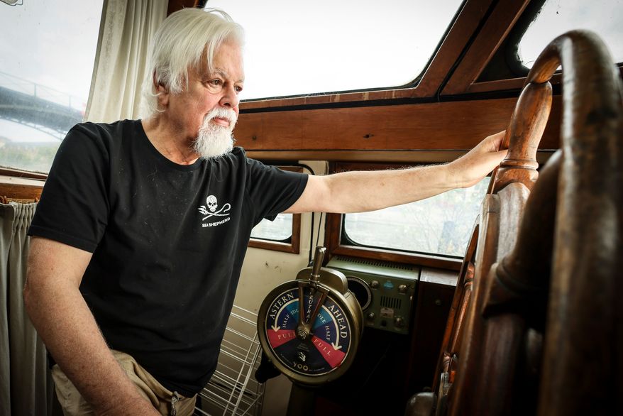 Paul Watson poses after an interview after Interpol took the anti-whaling campaigner off its most-wanted list, Wednesday, July 23, 2025 in Paris. (AP Photo/Thomas Padilla, File)