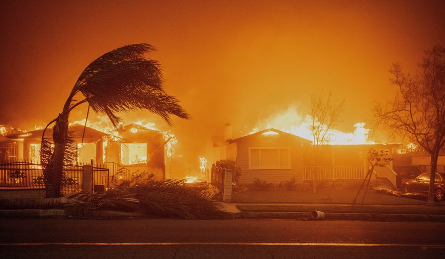 FILE - Trees sway in high winds as the Eaton Fire burns structures Jan. 8, 2025 in Altadena, Calif. (AP Photo/Ethan Swope, File)