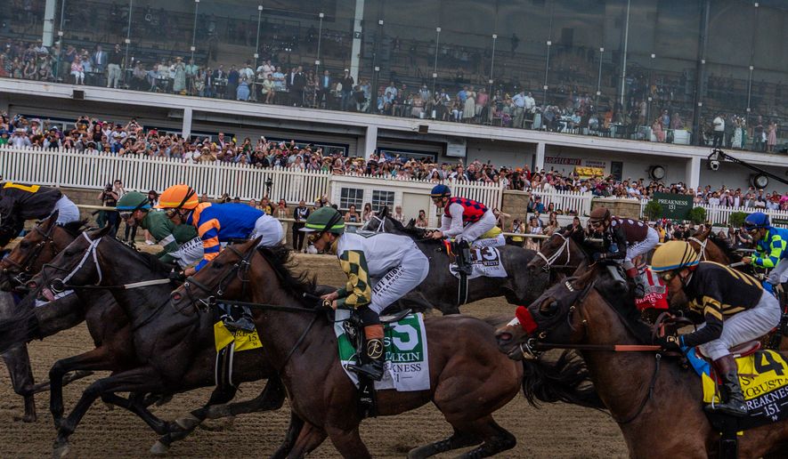 Horses compete during the 151st running of the Preakness Stakes horse race, May 16, 2026, at Laurel Park in Laurel, Md. (AP Photo/Julia Demaree Nikhinson, File)