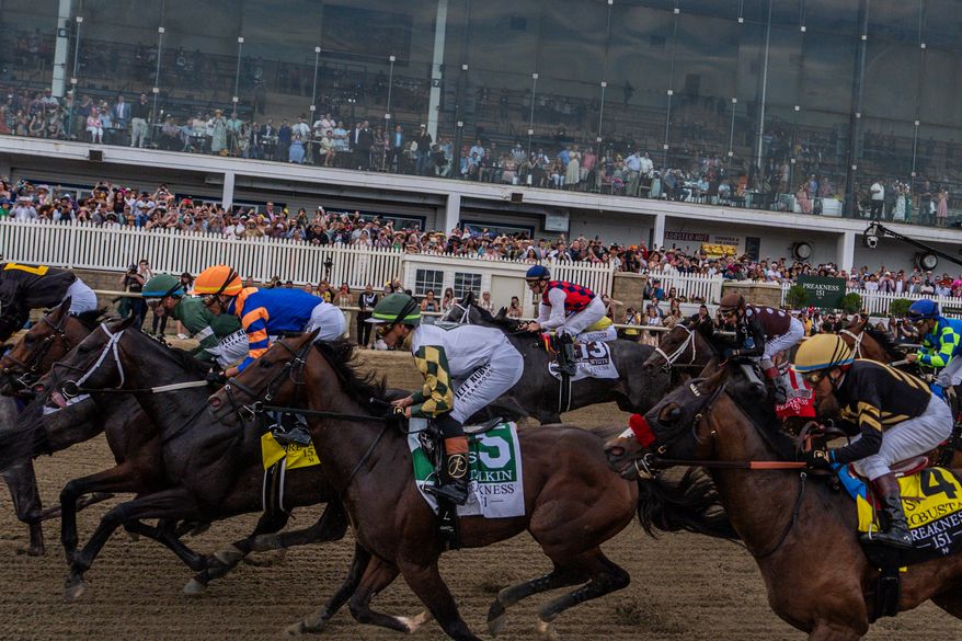 Horses compete during the 151st running of the Preakness Stakes horse race, May 16, 2026, at Laurel Park in Laurel, Md. (AP Photo/Julia Demaree Nikhinson, File)