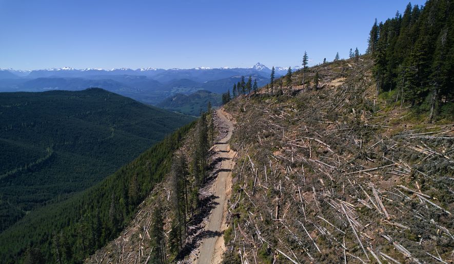Logged trees lie in a section of the Prince of Wales Range near Campbell River, British Columbia, Sunday, May 31, 2026. (AP Photo/Annika Hammerschlag)