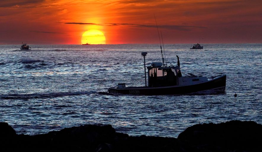 FILE - Lobster fishermen work at sunrise, Sept. 8, 2022, off Kennebunkport, Maine. (AP Photo/Robert F. Bukaty, File)