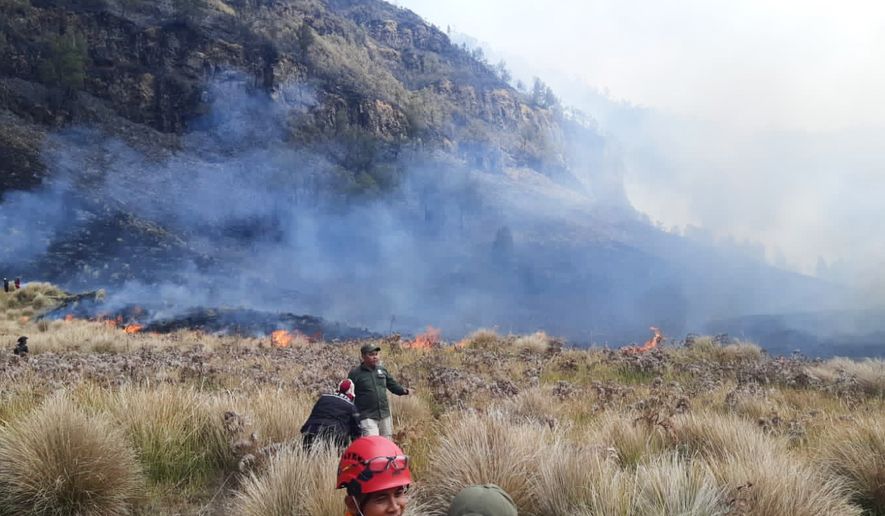 In this photo released by Indonesia's National Disaster Management Agency (BNPB), firefighters attempt to extinguish a wildfire that razes through Bromo National Park in Probolinggo, East Java, Indonesia on Wednesday, Aug. 5, 2026. (BNPB via AP)