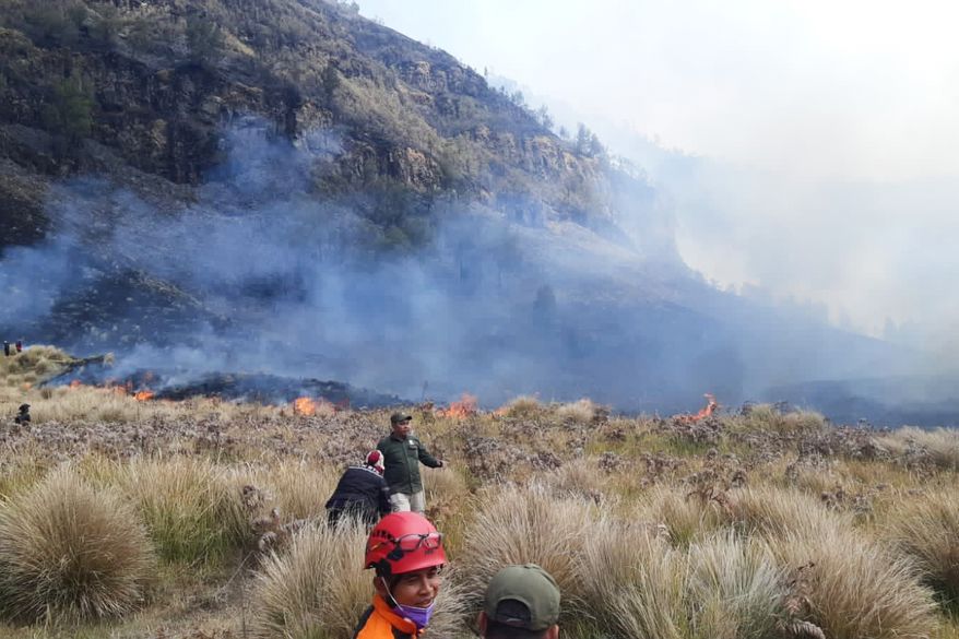 In this photo released by Indonesia's National Disaster Management Agency (BNPB), firefighters attempt to extinguish a wildfire that razes through Bromo National Park in Probolinggo, East Java, Indonesia on Wednesday, Aug. 5, 2026. (BNPB via AP)