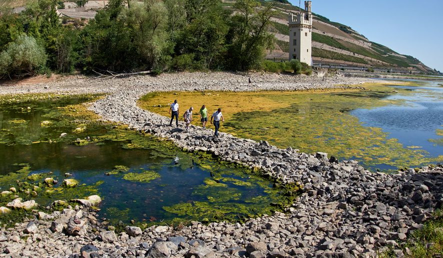 People walk over a stone dam, that is normally covered by water, toward the "Maeuseturm" (mice tower) in the middle of the river Rhine in Bingen, Germany, Monday, Aug. 10, 2026. (AP Photo/Michael Probst)