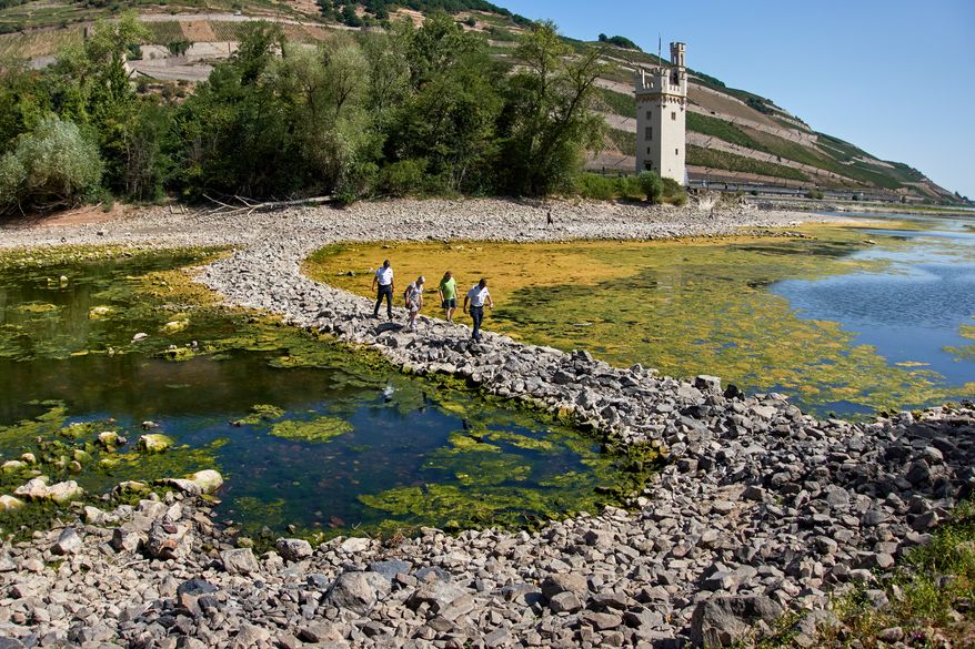 People walk over a stone dam, that is normally covered by water, toward the "Maeuseturm" (mice tower) in the middle of the river Rhine in Bingen, Germany, Monday, Aug. 10, 2026. (AP Photo/Michael Probst)