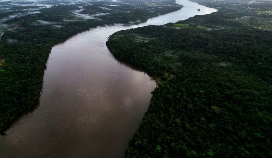 FILE - Trees line the Oiapoque River on the border between Brazil and French Guiana, in Oiapoque, Amapa state, Brazil, March 10, 2026. (AP Photo/Eraldo Peres, File)
